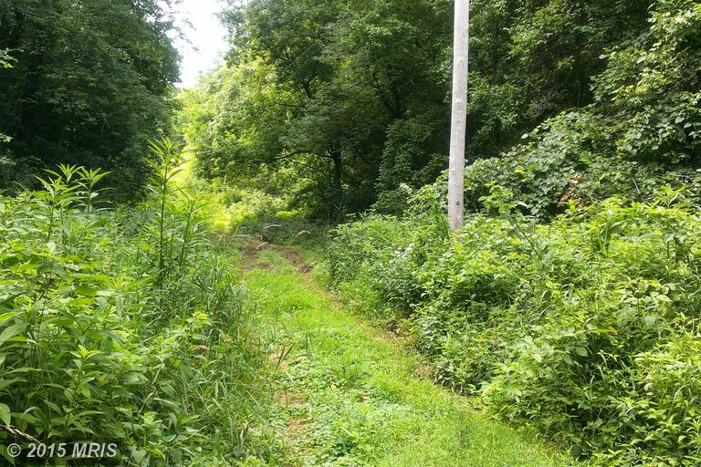 Opequon Lane