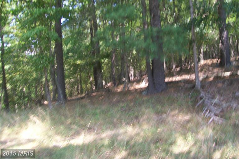 WHITE OAK TRAIL, Paw Paw, WV 25434