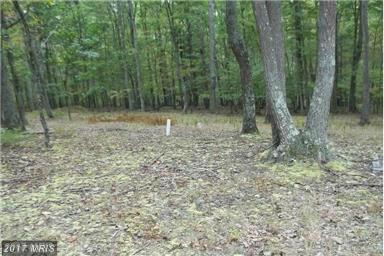 36 WHISPERING PINES ROAD, Slanesville, WV 25444