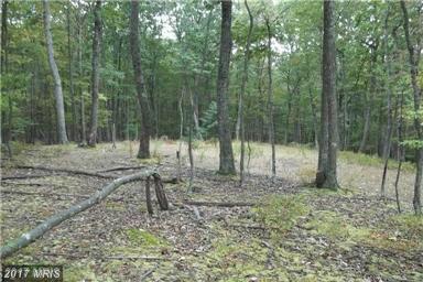36 WHISPERING PINES ROAD, Slanesville, WV 25444