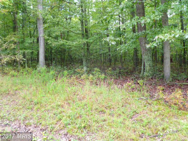 8 A OWL HOLLOW RD, Slanesville, WV 25444