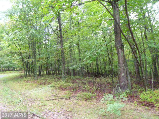 8 A OWL HOLLOW RD, Slanesville, WV 25444