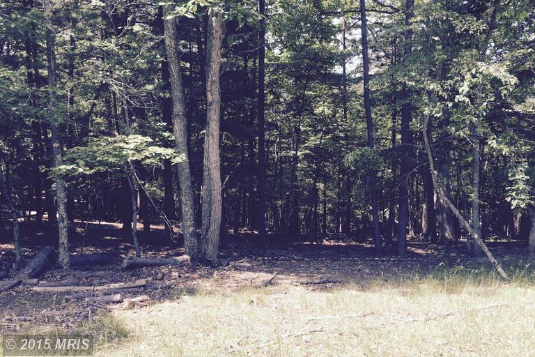 Owl Hollow Road