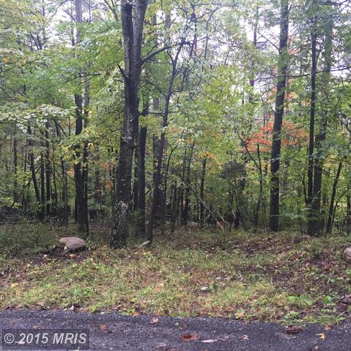 Owl Hollow Road