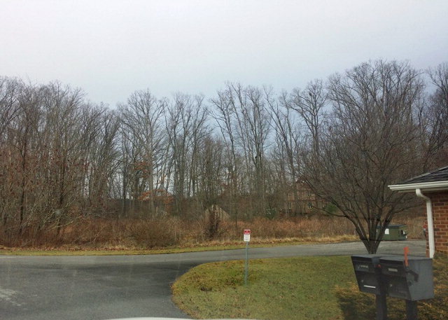 111 Creekside Court