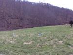 270 CAMP BR