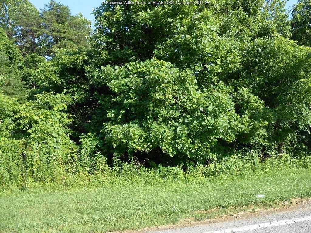0 Wallace Drive, Milton, WV 25541