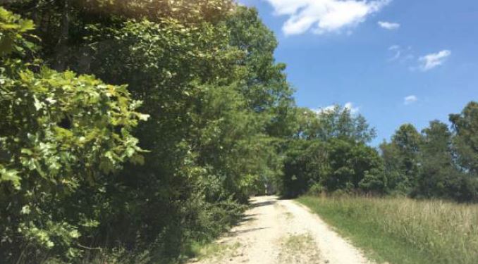 3188 Centerville-