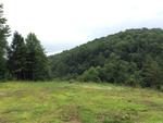4690 BLEDSOE HOLLOW ROAD