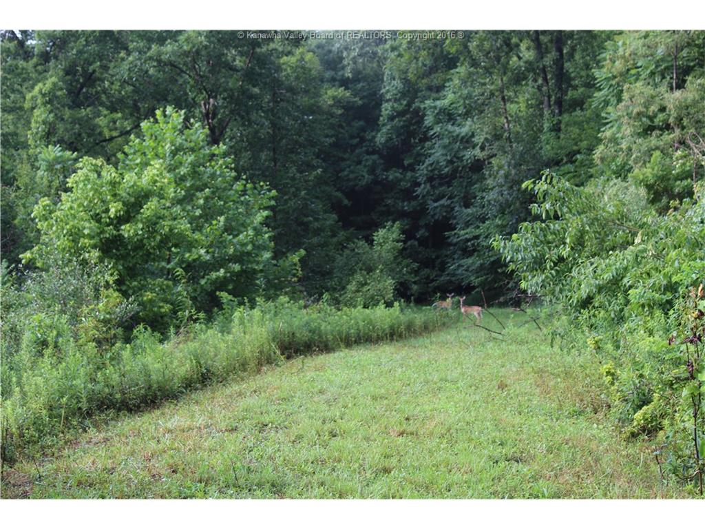 207 Willowood Trail, Alum Creek, WV 25567