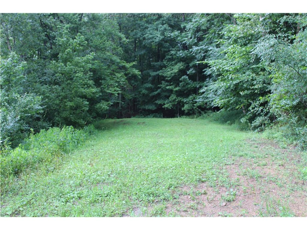 207 Willowood Trail, Alum Creek, WV 25567