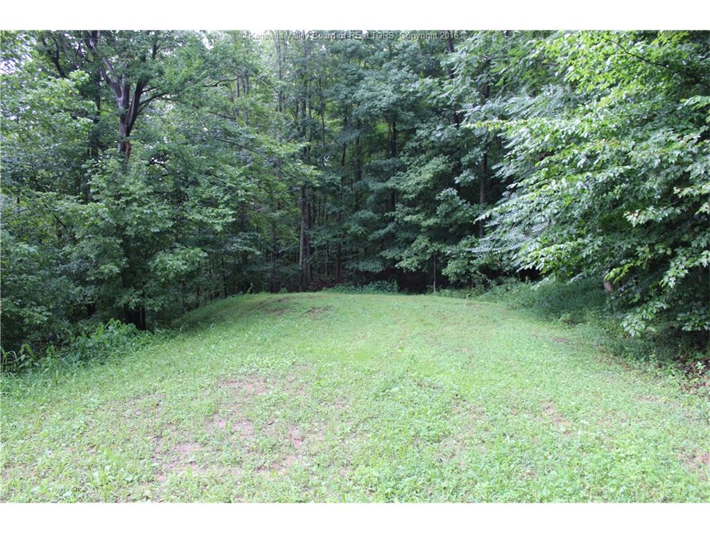 207 Willowood Trail, Alum Creek, WV 25567