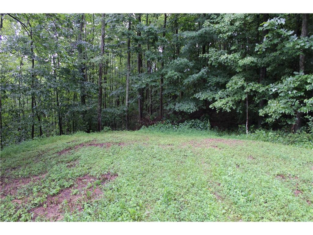 207 Willowood Trail, Alum Creek, WV 25567