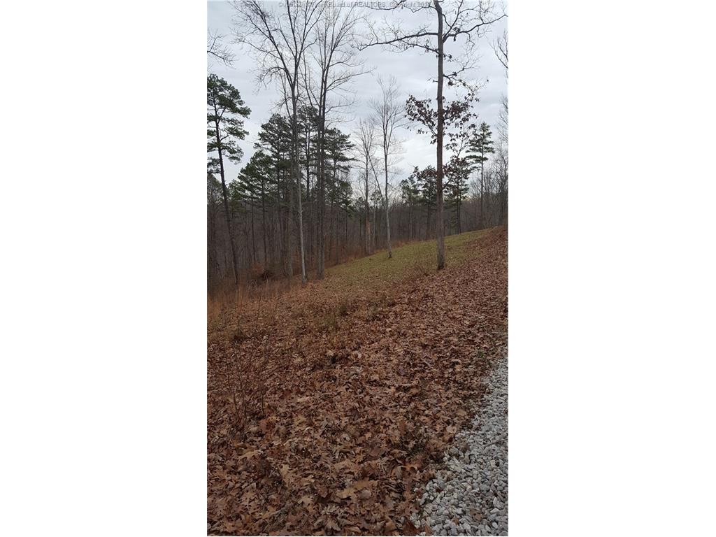 4 Priestly Road, Sumerco, WV 25567