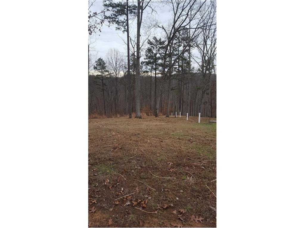 4 Priestly Road, Sumerco, WV 25567