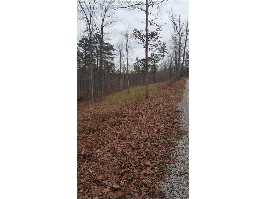 4 Priestly Road, Sumerco, WV 25567