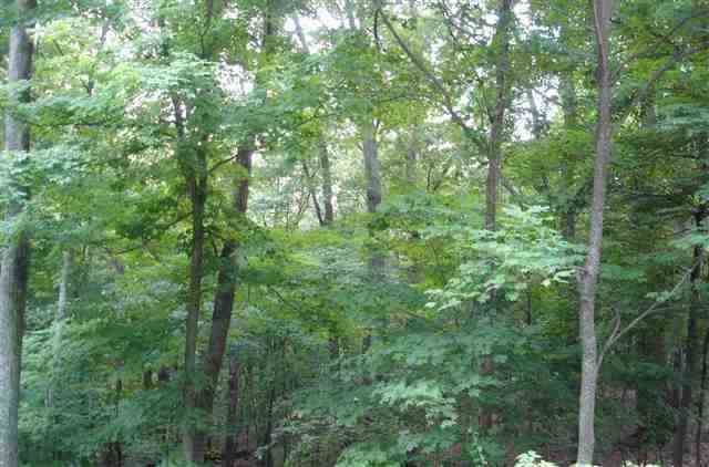 47c Woodview Drive, Huntington, WV 25701