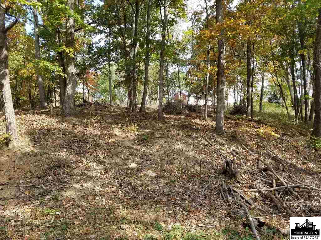 0 Foster Road, Huntington, WV 25701