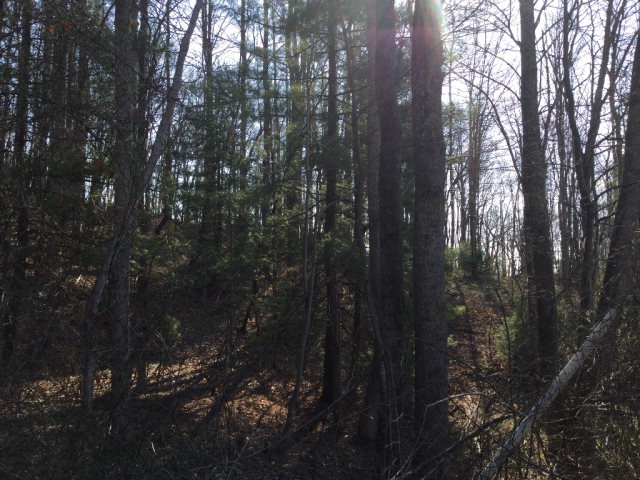 314 JAMESCREST DRIVE, Beckley, WV 25801