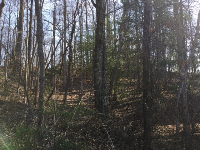 314 JAMESCREST DRIVE, Beckley, WV 25801
