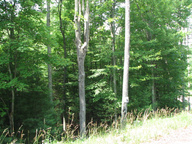 161 WINDSOR LANE, Daniels, WV 25832