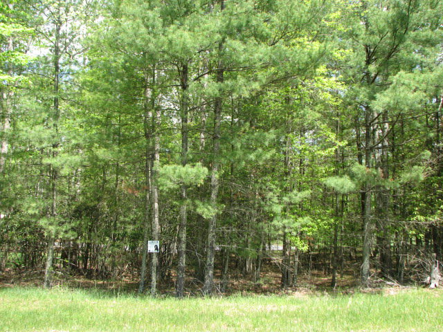 173 STEPHEN PLACE, Daniels, WV 25832