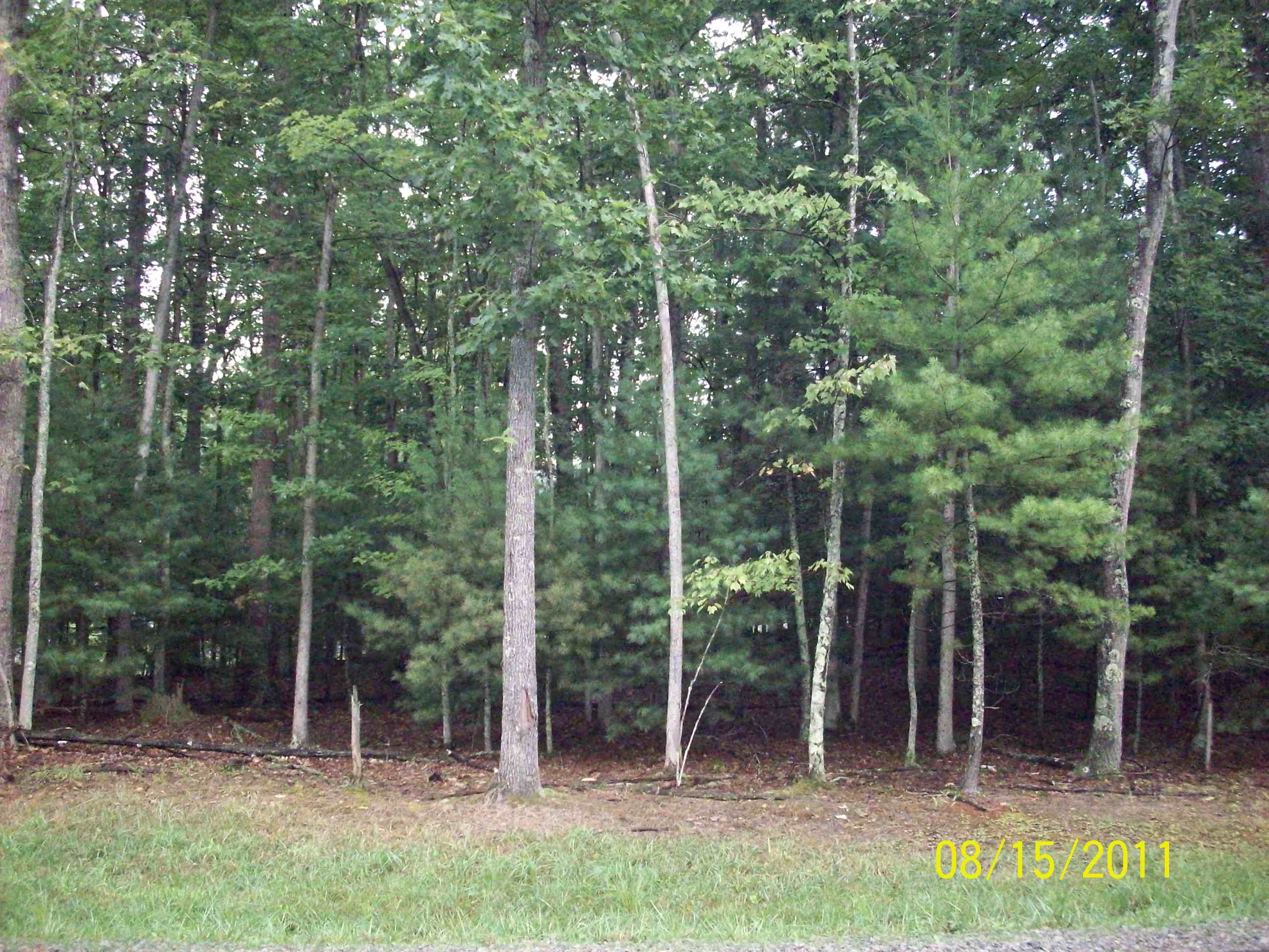 0 Abbey Lane, Daniels, WV 25832