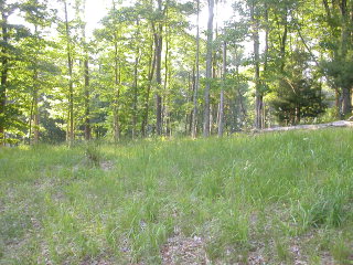 0 Abbey Lane, Daniels, WV 25832