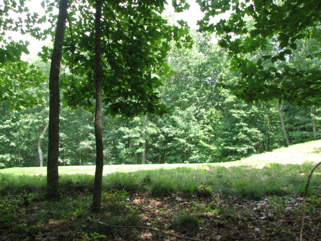 857 FAR COUNTRY DRIVE, Daniels, WV 25832