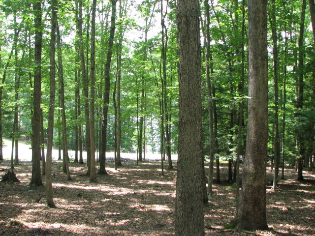 857 FAR COUNTRY DRIVE, Daniels, WV 25832