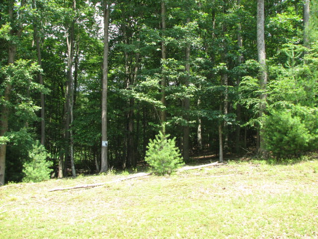 857 FAR COUNTRY DRIVE, Daniels, WV 25832