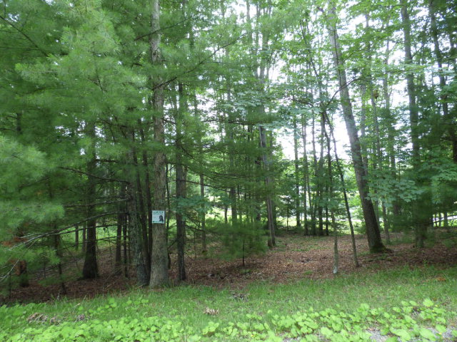 126 SHERWOOD LANE, Daniels, WV 25832