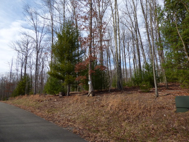 154 BRANCHWOOD LANE, Daniels, WV 25832