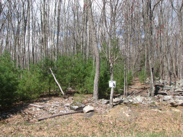 110 MILLSAP PLACE, Daniels, WV 25832