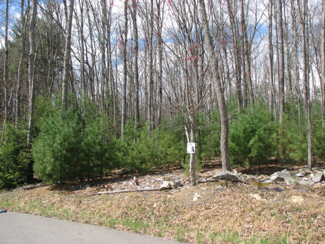 110 MILLSAP PLACE, Daniels, WV 25832