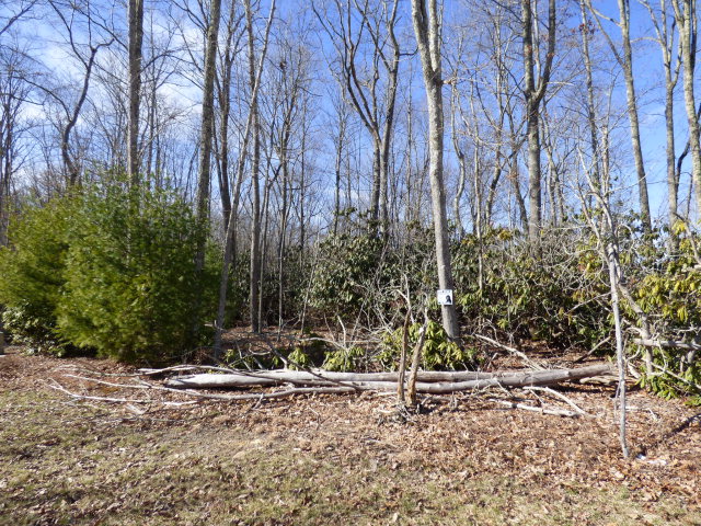 265 HIGHLANDS LANE, Daniels, WV 25832