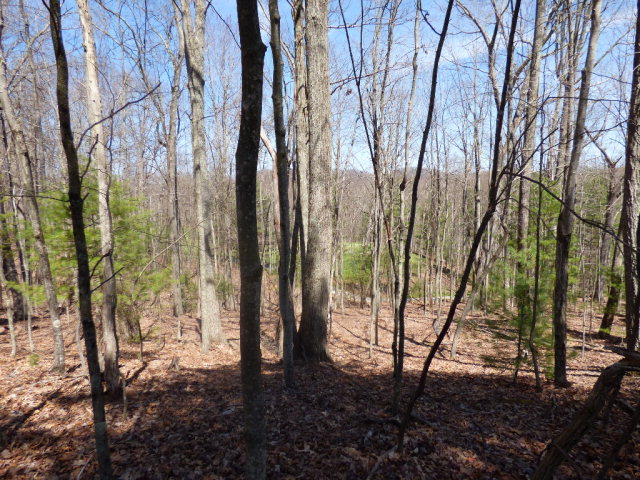 432 HAWKS CHASE LANE, Daniels, WV 25832