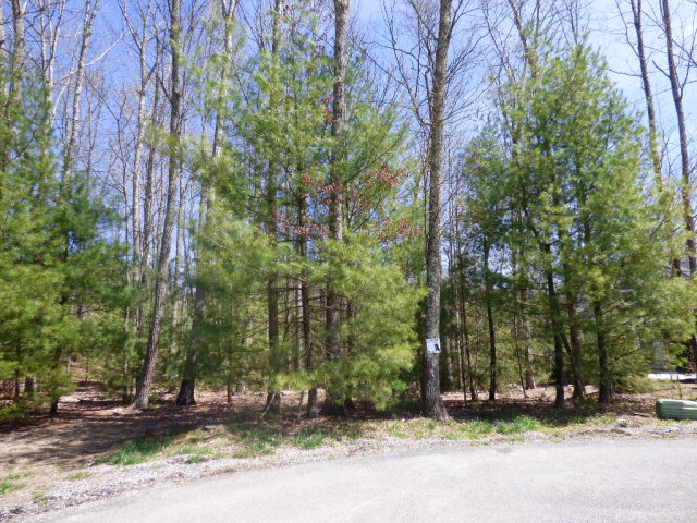 161 EXMOOR LANE, Daniels, WV 25832