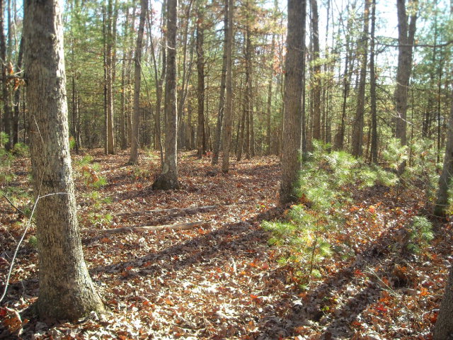 1 ARBOR LANE, Cool Ridge, WV 25832