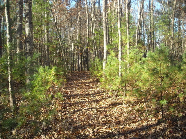 1 ARBOR LANE, Cool Ridge, WV 25832