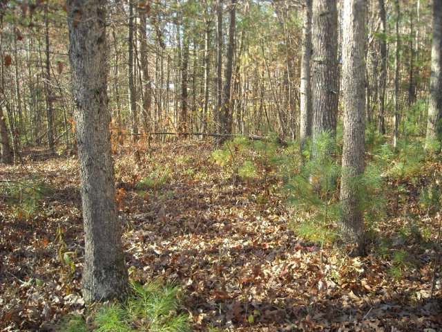 1 ARBOR LANE, Cool Ridge, WV 25832