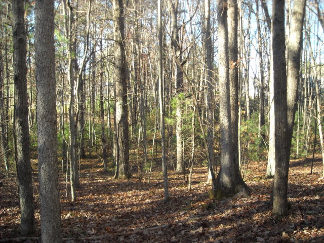 1 ARBOR LANE, Cool Ridge, WV 25832