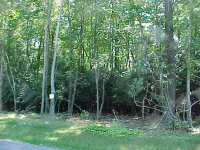 105 Raccoon Ln