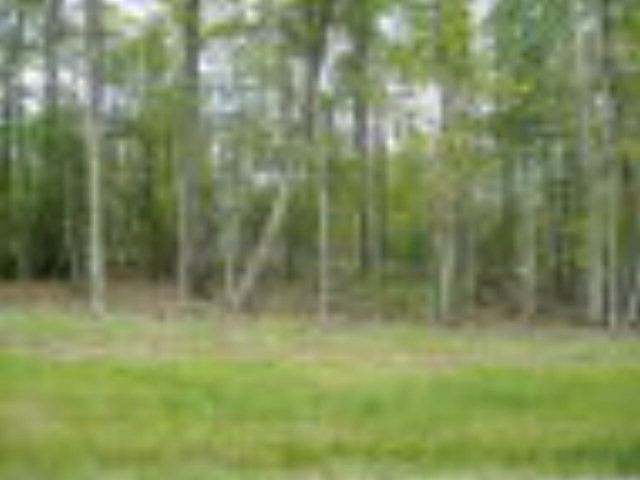 105 Raccoon Ln