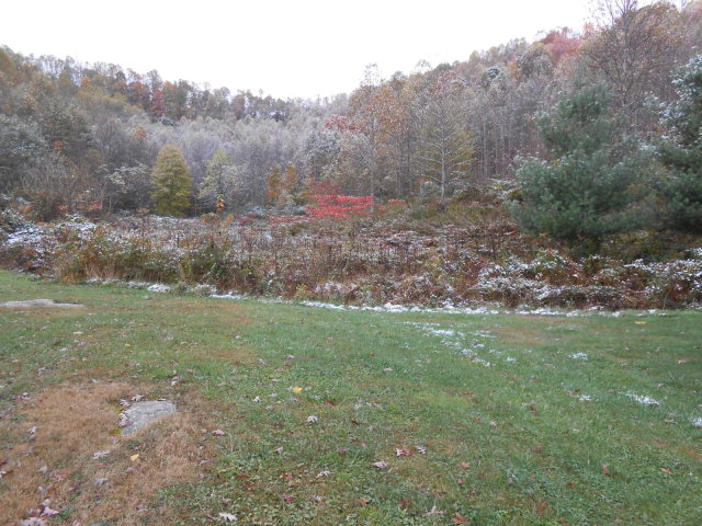 105 Teaberry Ct