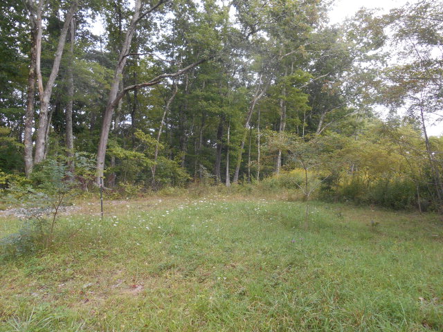 00 Ellison Ridge Road, Flat Top, WV 25841