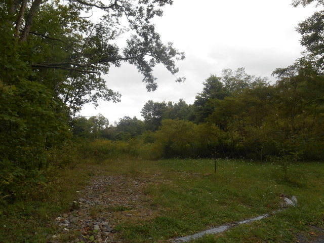 00 Ellison Ridge Road, Flat Top, WV 25841