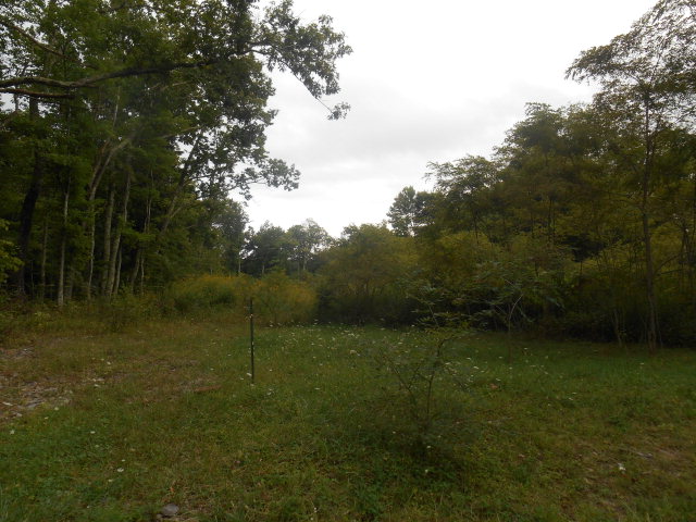 00 Ellison Ridge Road, Flat Top, WV 25841