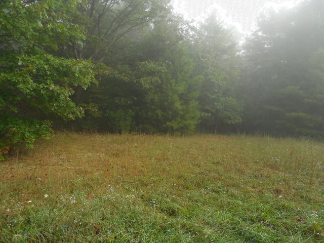 0 Peyton Place, Spanishburg, WV 25922