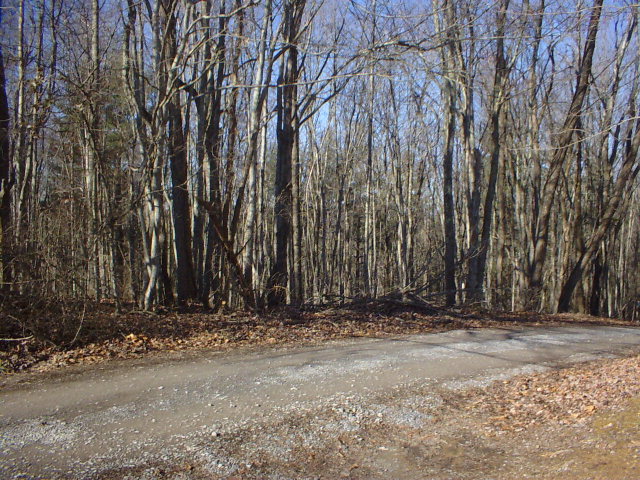 2942 Nubbins Ridge Rd